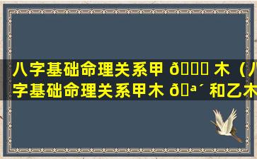 八字基础命理关系甲 🐈 木（八字基础命理关系甲木 🪴 和乙木）